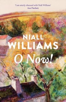 -niall williams-9781037203534