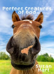 perfect creatures of god (a pair of love stories) (ebook)-susan hart-9781311154934
