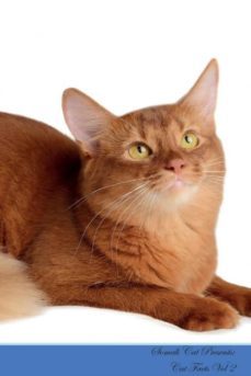 somali cat presents-9781526964434