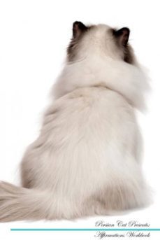 persian cat affirmations workbook persian cat presents-9781526972934