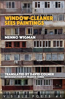 window cleaner sees paintings (ebook)-menno wigman-9781910345634