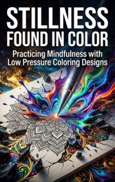 stillness found in color (ebook)-idris reese-9783565393534