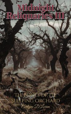 midnight reliquaries iii (ebook)-evelyne d´lorien-evelyne d´lorien-9783692284934