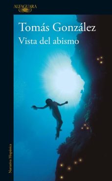 vista del abismo (ebook)-tomas gonzalez-9786287778634