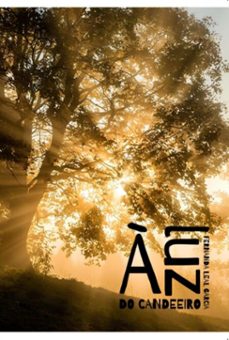 a luz do candeeiro (ebook)-fernanda leal garcia-9786554803434