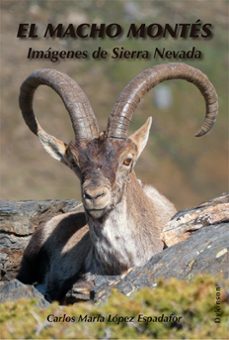 el macho montes (ebook)-carlos maria lopez espadafor-9788410705234