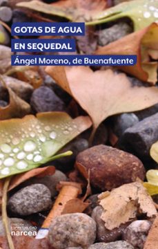 -angel moreno de buenafuente-9788427729834