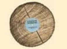 azaletatik sustraietara: euskal musikaren azalak (1960-2010)-9788461552634