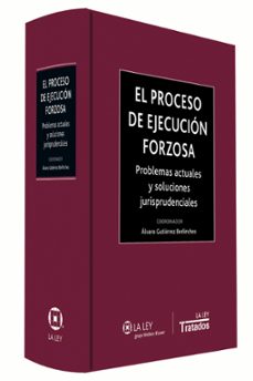 el proceso de ejecucion forzosa-9788490204634