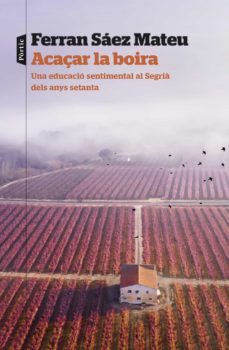 acaçar la boira (ebook)-ferran saez mateu-9788498095234