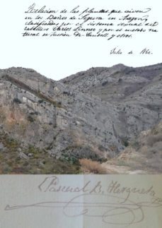 transcripcion del manuscrito: relacion de las plantas que viven en los baños de segura en aragon ..., escrito por d pascual bailon hergueta (ebook)-9788499491134