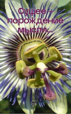 ... (ebook)-андрей юрьевич чернов-9798232290634