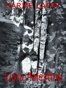 llora palestina (ebook)-2910020757083