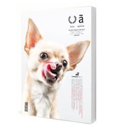 apicius nº 25 (noviembre 2015) (ed. bilingue español-ingles)-2910019270944