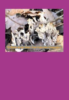 el reino de las setas:una coleccion fotografica (ebook)-jose mª alarte-3410007492444