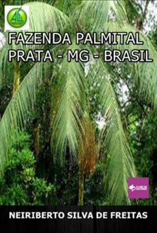 fazenda palmital prata-mg-brasil (ebook)-neiriberto silva de freitas-3410009052844