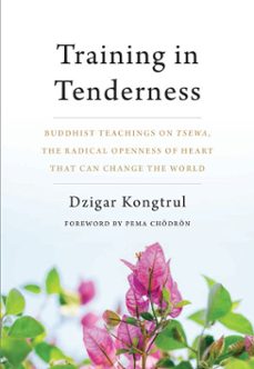 training in tenderness (ebook)-dzigar kongtrul-9780834841444