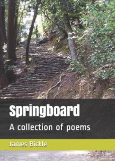 springboard (ebook)-james bickle-9781370458844