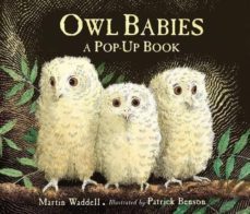 owl babies-9781406352344