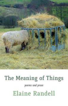 the meaning of things-9781848615144