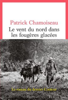 le vent du nord dans les fougères glacees (ebook)-patrick chamoiseau-9782021470444