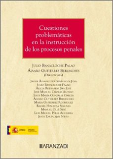 CUESTIONES PROBLEMÁTICAS EN LA INSTRUCCIÓN DE LOS PROCESOS PENALES ...