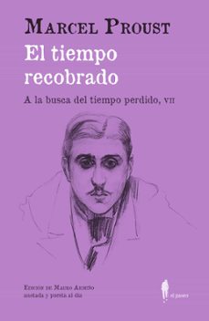 el tiempo recobrado (a la busca del tiempo perdido, vii)-9788419188144