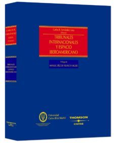 tribunales internacionales y espacio iberoamericano-9788447031344