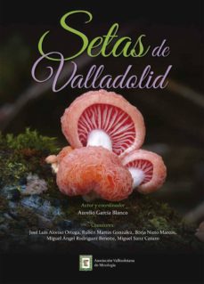 setas de valladolid-aurelio garcia blanco-9788461712144