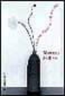 el comienzo oblicuo de todo desorden-marcelo rizzi-9788484506744