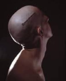 javier nuñez gasco (bilingue español-ingles)-9788493524944