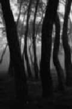 revista matador (vol. k): la belleza (ed. blingue español-ingles)-9788496466944