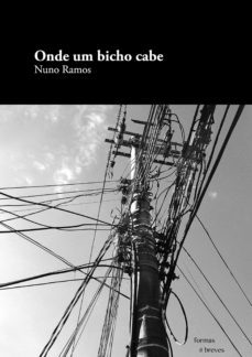 onde um bicho cabe (ebook)-9788567080444