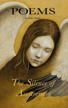 the silence of awareness (ebook)-9789181146844