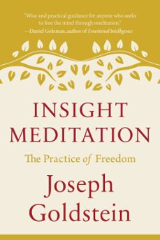 insight meditation (ebook)-joseph goldstein-9780834824454