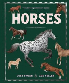 horses-lucy thorn-9781444981254