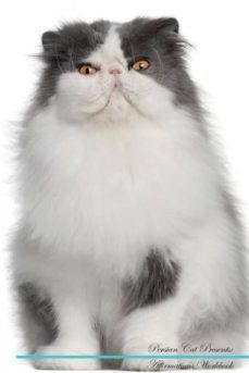 persian cat affirmations workbook persian cat presents-9781526973054