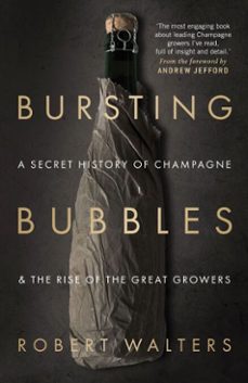 bursting bubbles (ebook)-robert walters-9781846892554