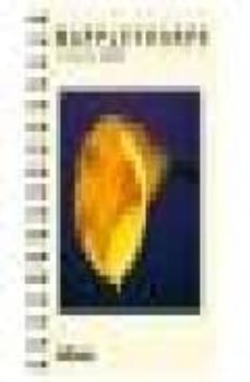 mapplethorpe deluxe agendas 16 x 21 / 08-9783832723354