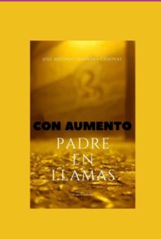 padre en llamas. con aumento de texto (ebook)-josé antonio saavedra canovas-9786526655054