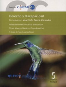 derecho y discapacidad-9788415305354