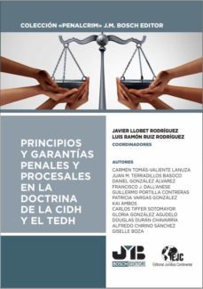 principios y garantias penales y procesales en la doctrina de la cidh y el tedh (ebook)-9788419045454