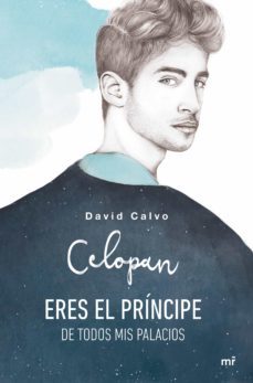 eres el principe de todos mis palacios (ebook)-9788427043954