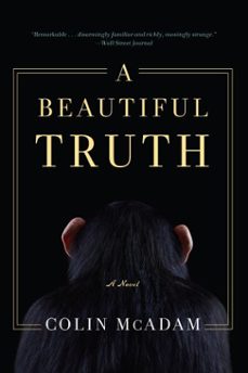 a beautiful truth (ebook)-colin mcadam-9781616953164