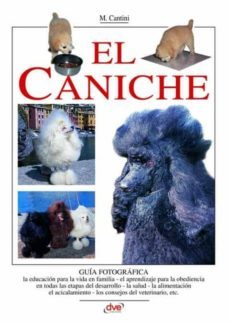 el caniche-9781644612064