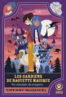 un ciel plein de dragons (ebook)-tiffany mcdaniel-9782404026664