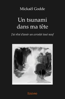 -mickaël godde-9782414254064