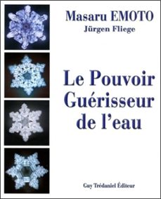 le pouvoir guerisseur de l'eau (ebook)-masaru emoto-jurgen fliege-9782813228864