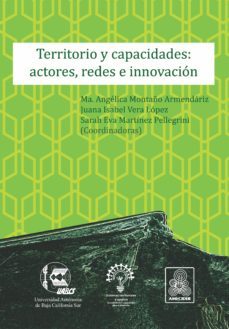 territorio y capacidades: actores, redes e innovacion (ebook)-angélica armendáriz montaño-juana isabel lópez vera-sarah eva martínez pellegrini-9786078654864