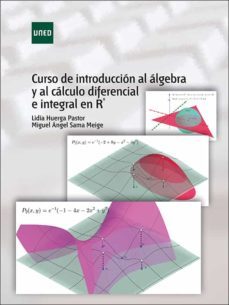 curso de introduccion al algebra y al calculo diferencial e integ ral en r^n-lidia huerga pastor-9788436276664